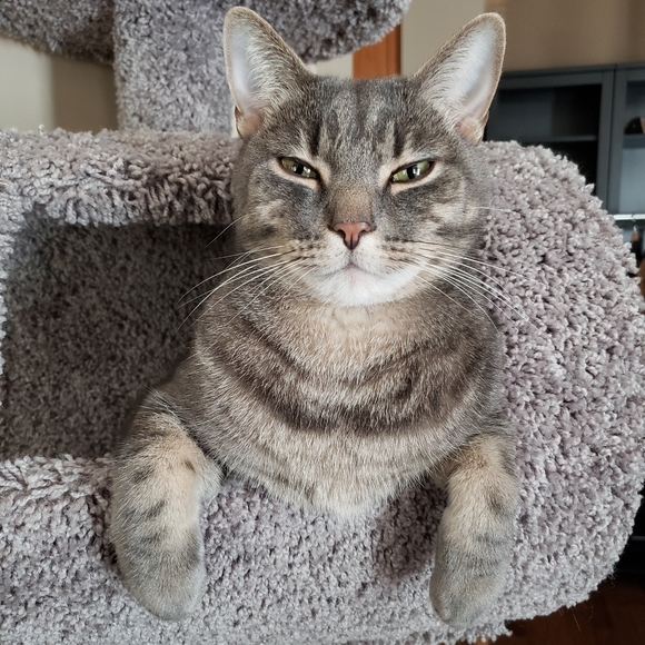 Everything below=sold! - Picture 1 of 1